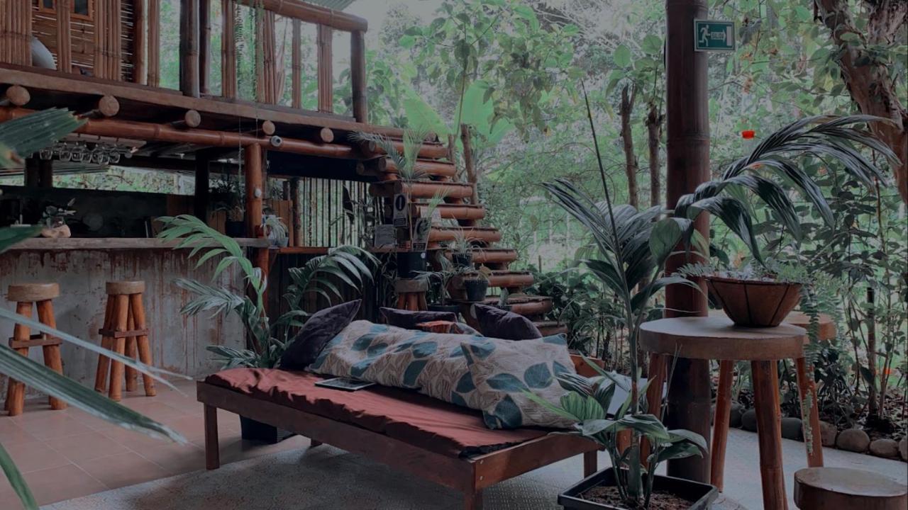 Cinnamon House Mindo Ngoại thất bức ảnh