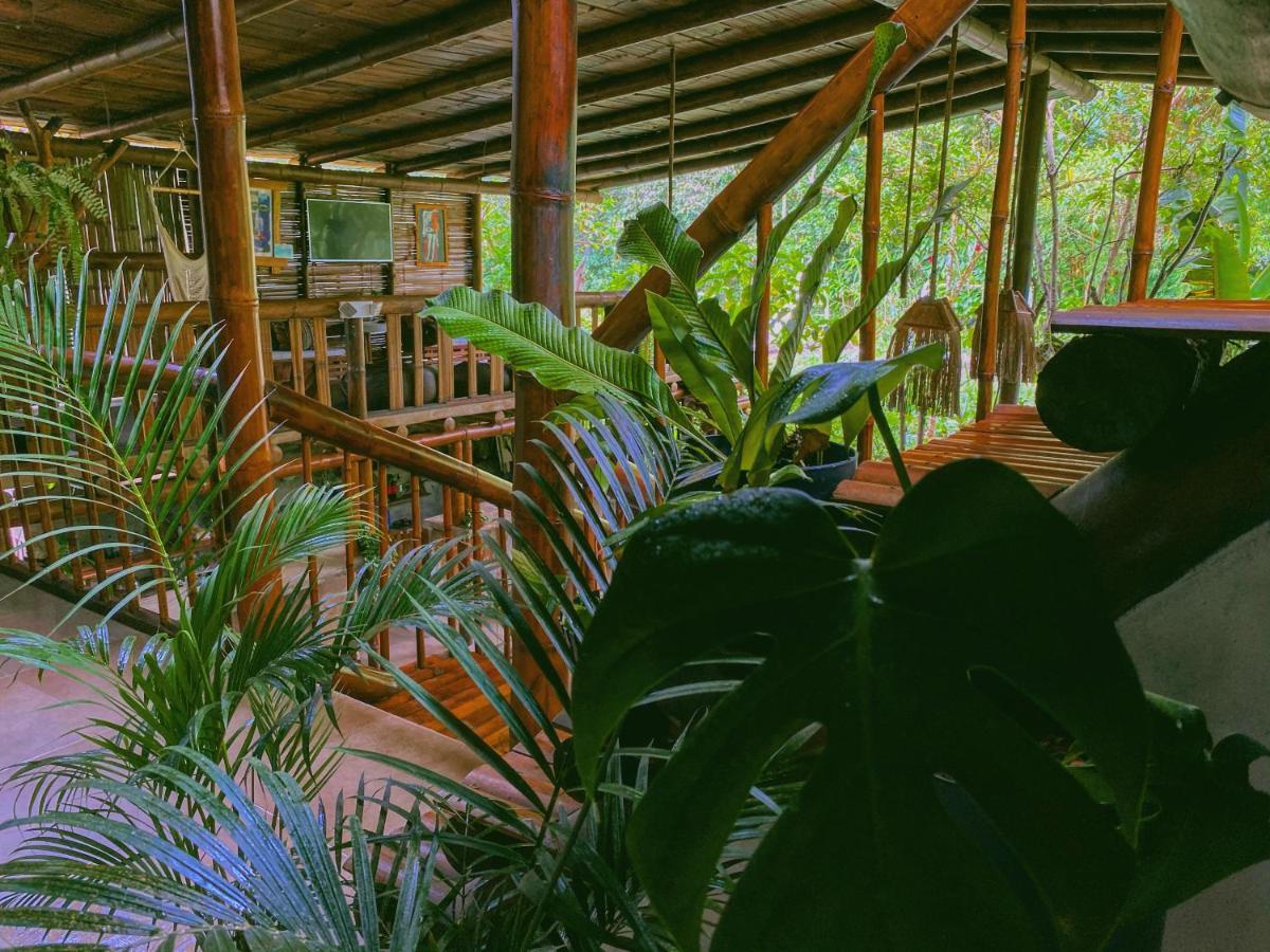 Cinnamon House Mindo Ngoại thất bức ảnh